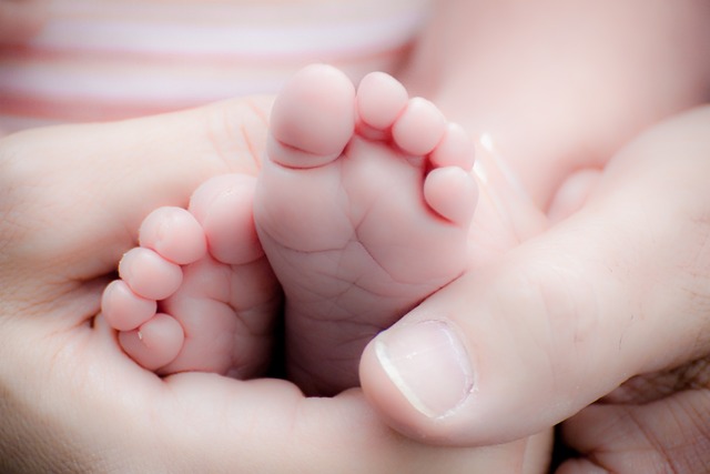 美国海外生子优点